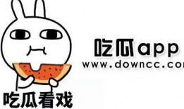 吃瓜大马网红yifei,吃瓜大马，揭秘娱乐圈幕后风云