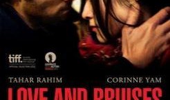 花娄烨在线观看,重温光影岁月，感受艺术魅力